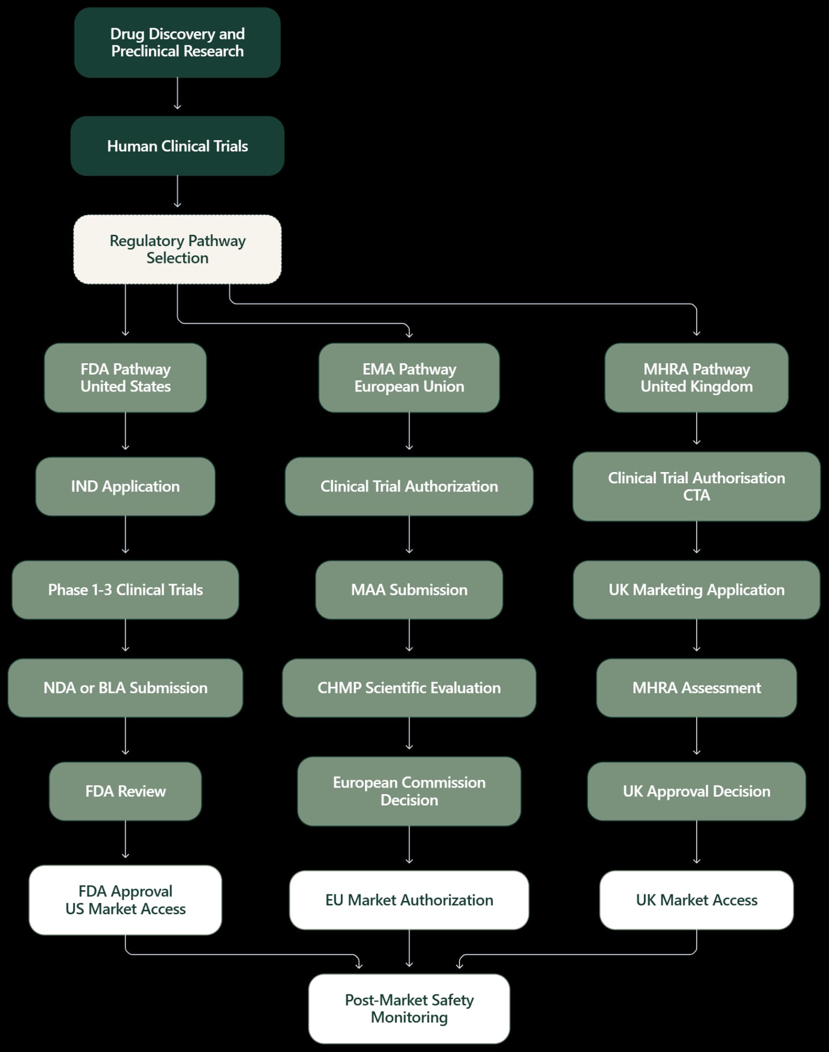 Figure 1: FDA, EMA, and MHRA approval pathways compared from clinical trials to market authorization and safety monitoring.