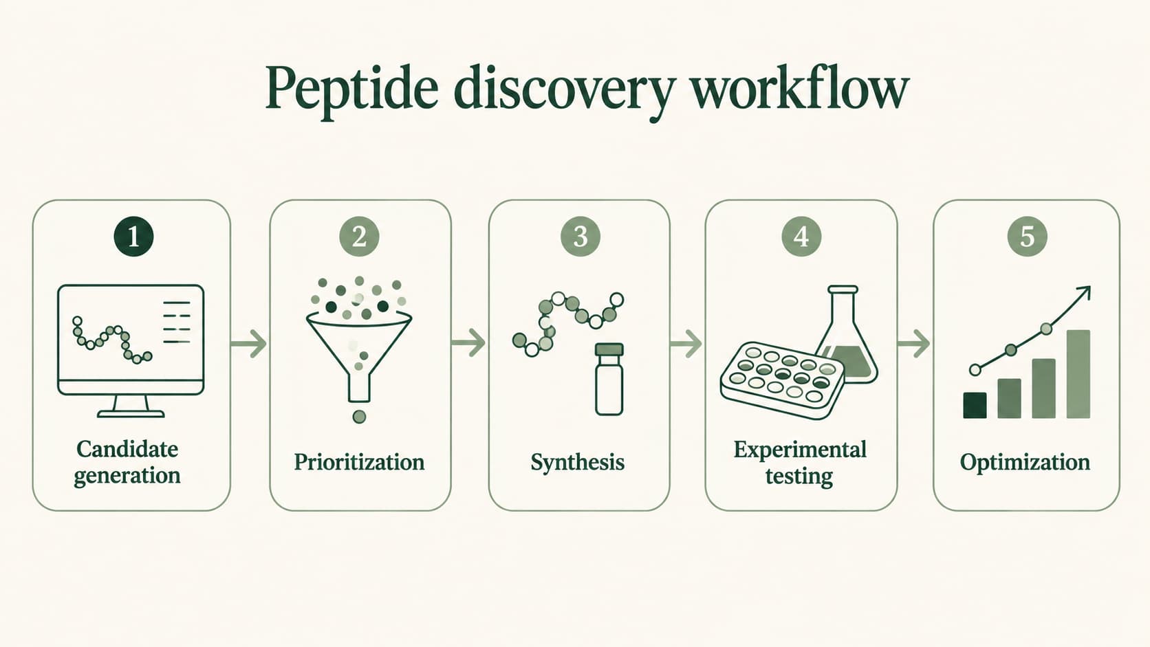 Diagram accompanying Why Peptides Are Becoming Important in Modern Drug Research