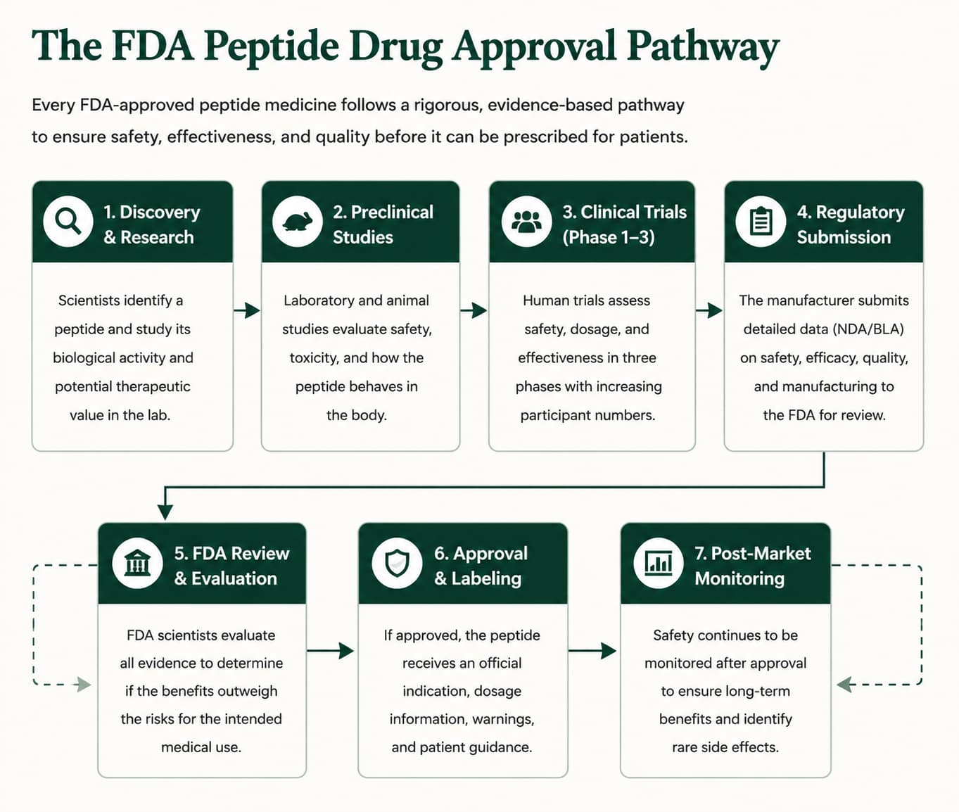 Diagram accompanying FDA-Approved Peptides vs Experimental Peptides