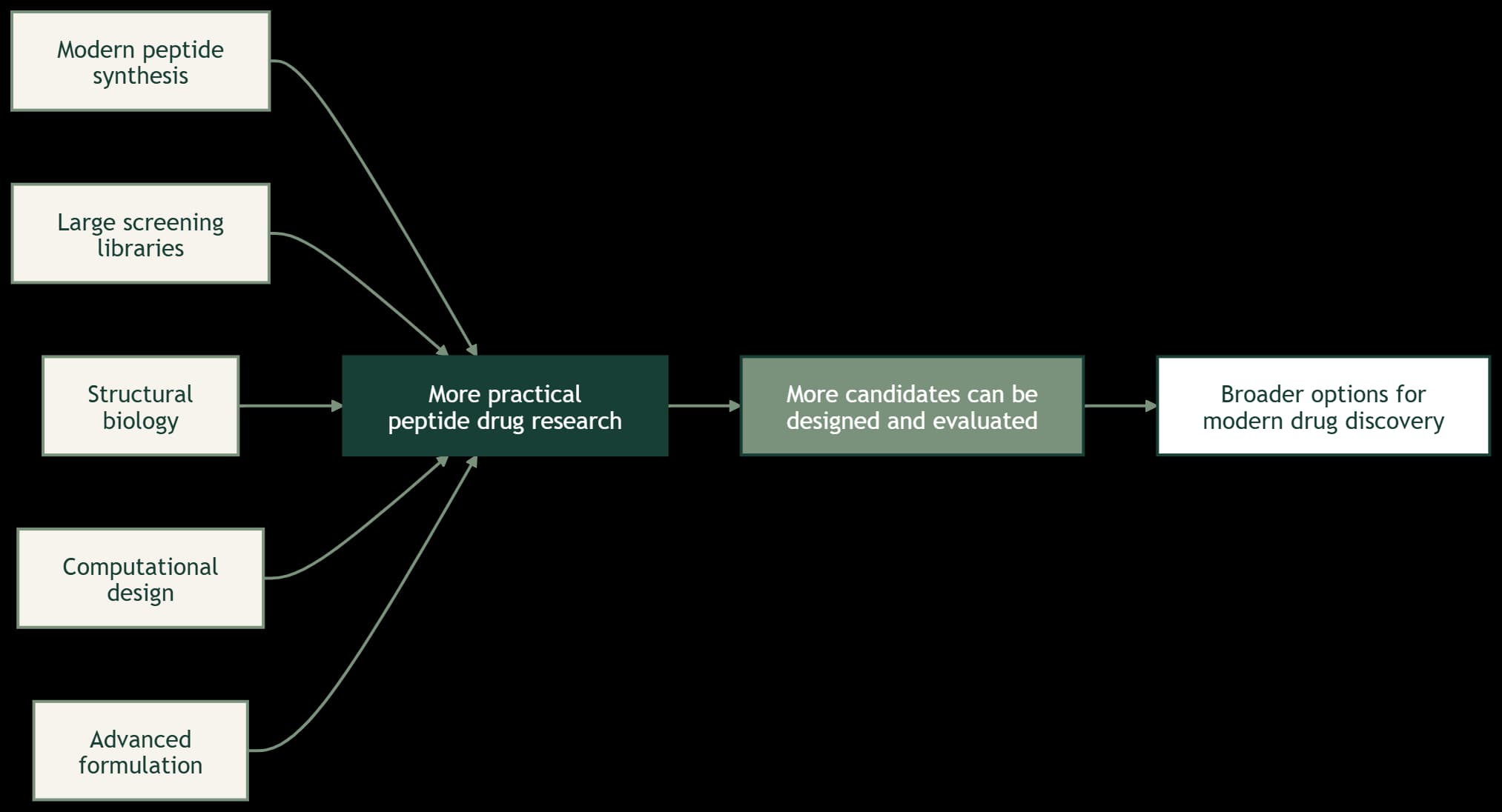 Diagram accompanying Why Peptides Are Becoming Important in Modern Drug Research