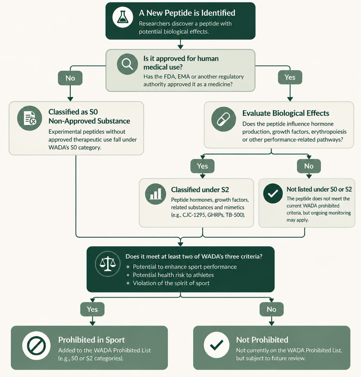 Figure 1: How WADA evaluates peptides for competitive sport eligibility, from regulatory status and biological effects to prohibited substance classification.